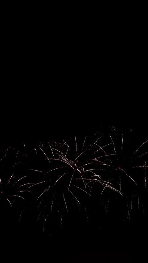 Stunning abstract fireworks display illuminating a night sky for New Year and Stock Footage 304899713