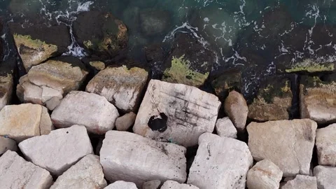 A stunning aerial drone view of waves crashing against rocks Stock Footage 296177035