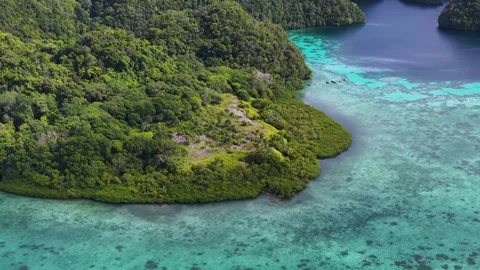 Stunning aerial motion view over pristine tropical island coast with vibran.. Vídeos de archivo 333160119