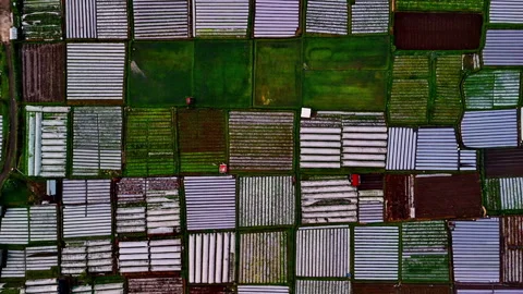 Stunning Aerial Patchwork of Bukit Selong Farms in Indonesia Stock Footage 316397192