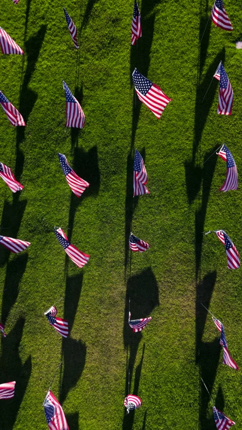 A Stunning Aerial View of American Flags Waving on a Vibrant Green Field Under 스톡 동영상 318065701