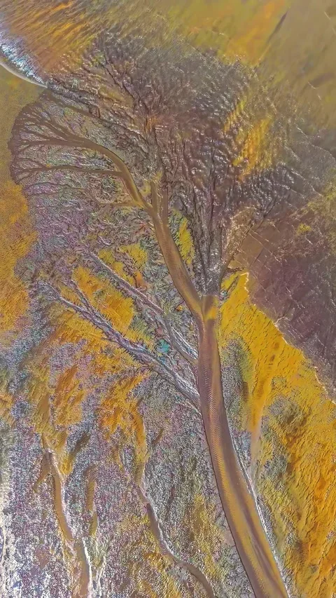 Stunning Aerial View of Earth's Tree Tidal Formation Qiantang River China Stock Footage 342603482