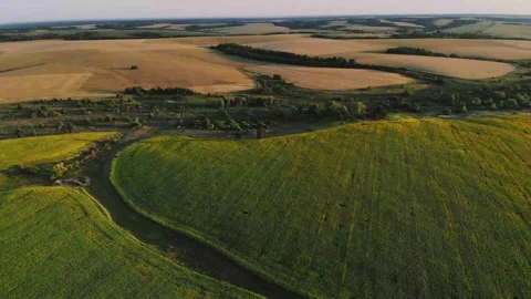 Stunning aerial view of fields and river during golden hour Video stock 320341028