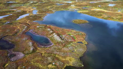 Stunning aerial view flying over the colorful autumn tundra landscape of th.. Stock Footage 323970912