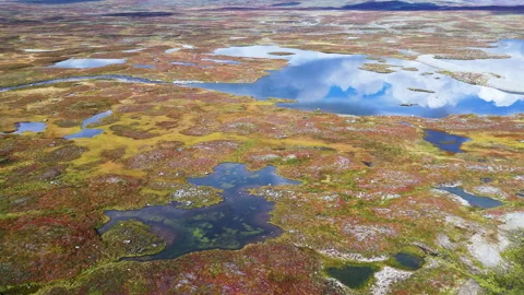 Stunning aerial view flying over the vast and colorful autumnal tundra land.. Stock Footage 323971015