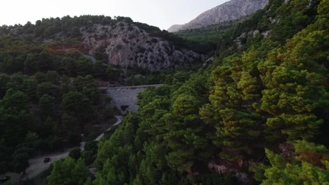Stunning aerial view of the lush pine forest and beautiful mountainous terrain Stock Footage 320799565