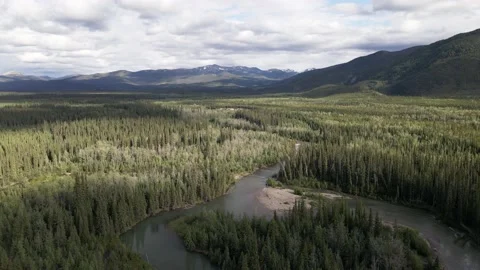 Stunning aerial view of northern boreal forest and River Stock Footage 137867553