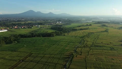 Stunning Aerial View of Rice Fields with Mountain Range at Sunrise - 4K Stock Footage 332587304
