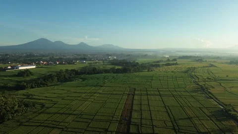Stunning Aerial View of Rice Fields with Mountain Range at Sunrise - 4K Stock Footage 332587420