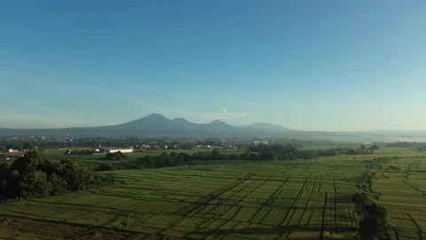 Stunning Aerial View of Rice Fields with Mountain Range at Sunrise - 4K Stock Footage 332587442