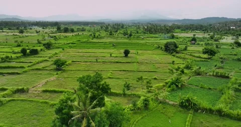This stunning aerial view showcases a lush green coastal landscape below Stock Footage 281261665