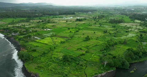 This stunning aerial view showcases a lush green coastal landscape below Stock Footage 281261707