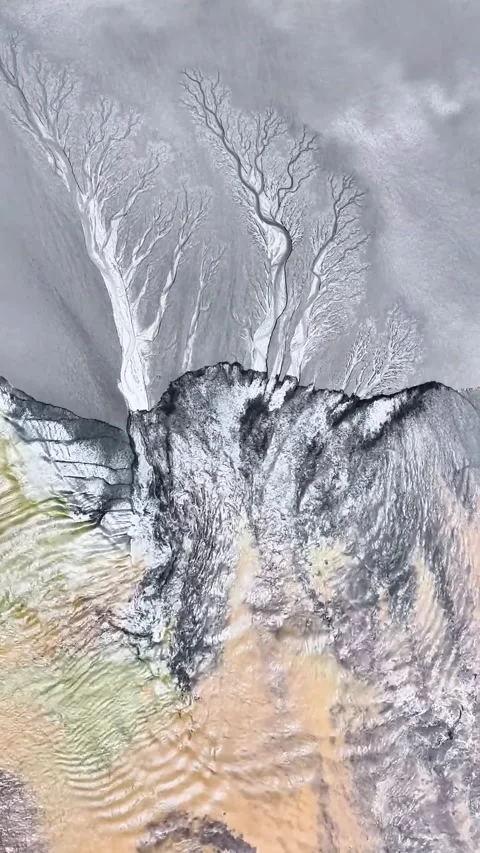 Stunning Aerial View of Tidal Tree Patterns in Qiantang River Hangzhou China Stockbeeldmateriaal 342603743