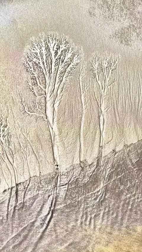 Stunning Aerial View of Tidal Tree Formations on Qiantang River Flats China Stockbeeldmateriaal 342603744