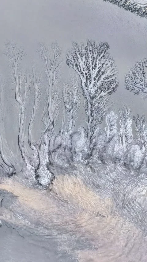 Stunning Aerial View of Tidal Tree Patterns Qiantang River China Stockbeeldmateriaal 342603815