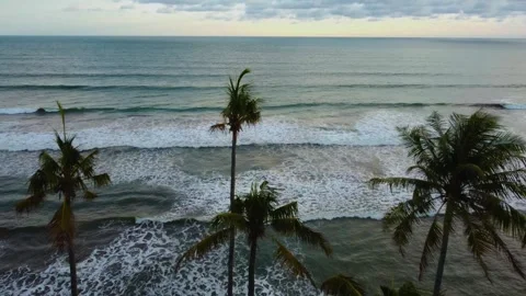 Stunning aerial view of towering cliffs by Bengkulu beach Stock Footage 289404194