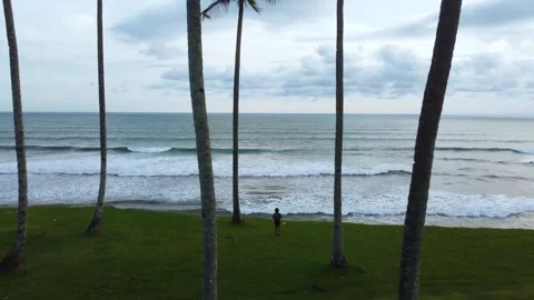 Stunning aerial view of towering cliffs by Bengkulu beach Stock Footage 289404200