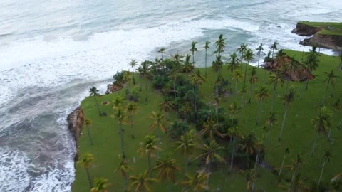 Stunning aerial view of towering cliffs by Bengkulu beach Stock Footage 289404216