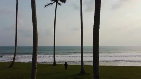 Stunning aerial view of towering cliffs by Bengkulu beach Stock Footage 289404234