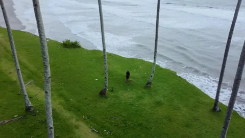 Stunning aerial view of towering cliffs by Bengkulu beach Stock Footage 289404359