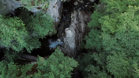 A stunning aerial view of a tranquil stream winding through dense greenery 스톡 동영상 296294325