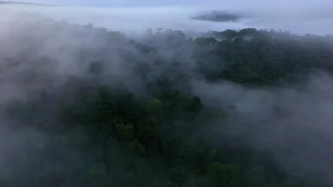 Stunning aerial view of a tropical forest; a prolonged nature background Видео 336870089