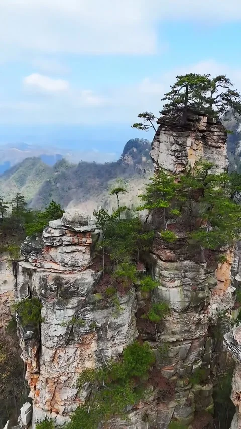 Stunning Aerial View of Unique Karst Pillars and Green Trees Zhangjiajie Hunan Stock Footage 345727884