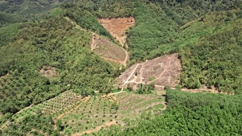 Stunning aerial views of Thailand's cliffs, rivers, and lush landscapes Video stock 310558396