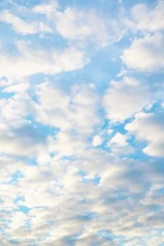 Stunning Altocumulus Clouds Lined Up on Bright Blue Sky 스톡 사진