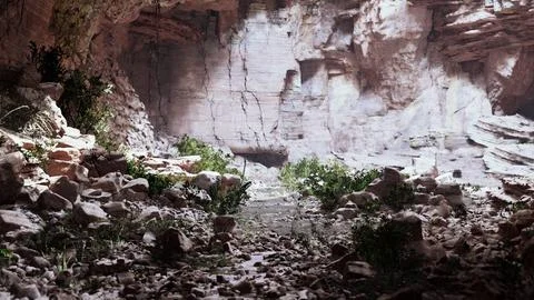 Stunning ancient cave in the tropical forest Stock Illustration