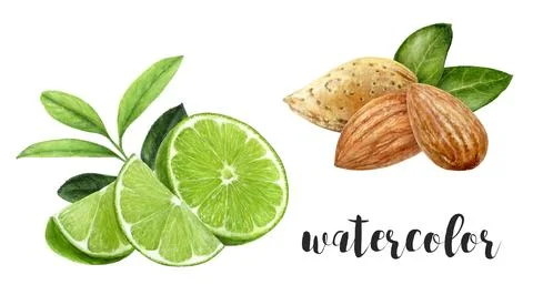 Stunning and Refreshing Fresh Lime and Almond Watercolor Art that Captivates the Stock Illustration