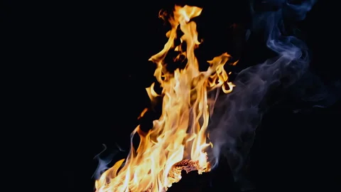 The Stunning and Vibrant Flames Set Against a Deep, Dark Background, Captivating Stock Footage 295889088