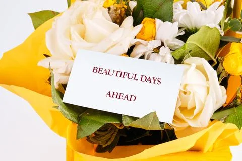 A stunning array of fresh flowers in vibrant yellow paper, featuring white roses 스톡 사진