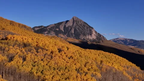 Stunning Aspen Forest in Fall Colors, Drone Shot of Landscape of Colorado USA Stock Footage 339093673