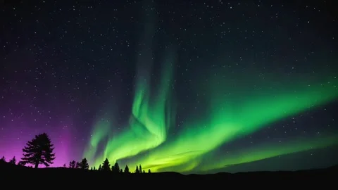 Stunning aurora borealis over pine forest 스톡 동영상 311655770