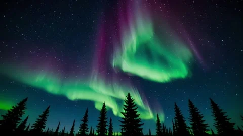 Stunning aurora borealis over pine forest Stock Footage 314782729