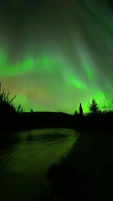 The stunning aurora Borealis show dances across the sky Stock Footage 321001376