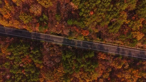 Stunning autumn landscape over a road in Bulgaria surrounded by forests Stock Footage 322764053