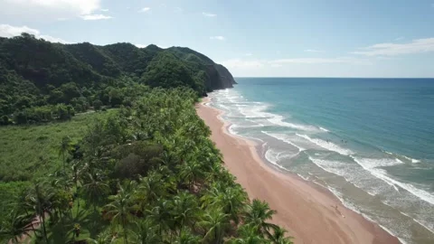 A stunning backward flight over the remote and beautiful Pui Pui Beach in Vidéo 317227024