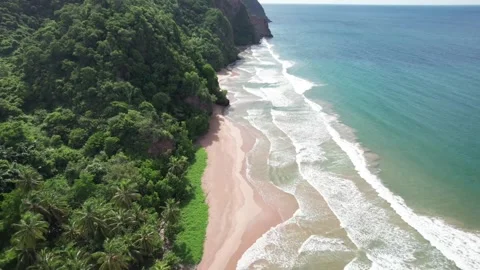 A stunning backward flight over the remote and beautiful Pui Pui Beach in Vidéo 317227461