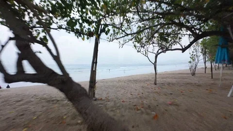 Stunning Beach From Out of the Trees FPV Drone Video Video stock 119904295