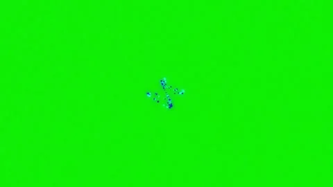 Stunning bird with flying motion isolated on chroma key green screen Stock Footage 337047628