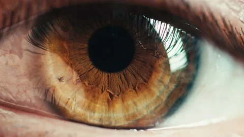 Stunning Brown eye macro shot Stock Footage 217676887