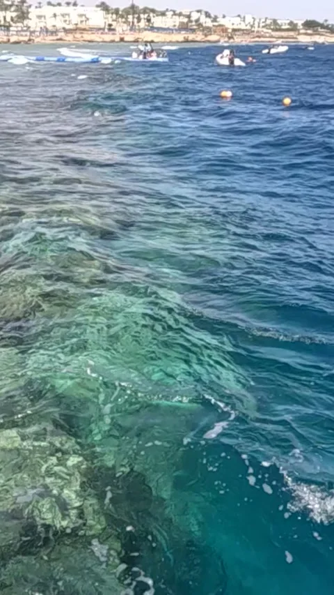 A Stunning Coastal View Featuring a Vibrant Coral Reef Beneath Crystal Clear Stock-Footage 330095638