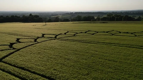 Stunning Crop Circle Drone Close-Up, 7th June 2023, Potterne Wiltshire 4K Stock-Footage 243237371