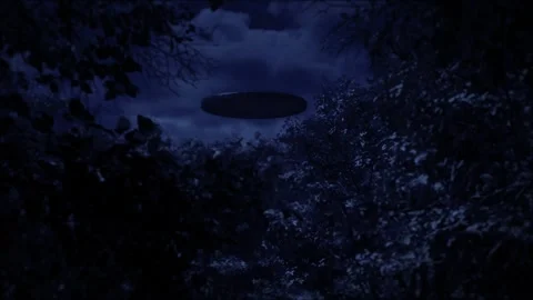 Stunning distant nigh time shot through the canopy of trees in a forest in the Vídeos de archivo 311422498