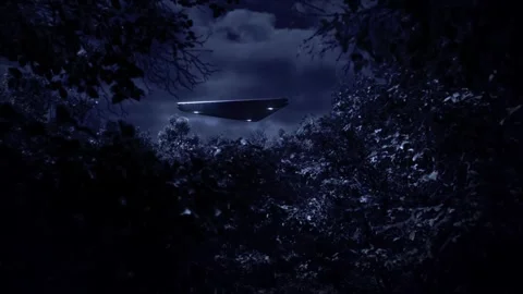 Stunning distant night view through the canopy of trees in a forest in the Stock Footage 311086097