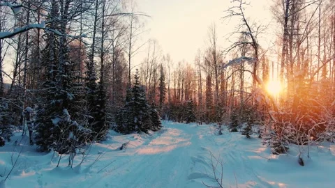 Stunning drone flight through the snow covered forest between the trees at dawn Видео 146014685