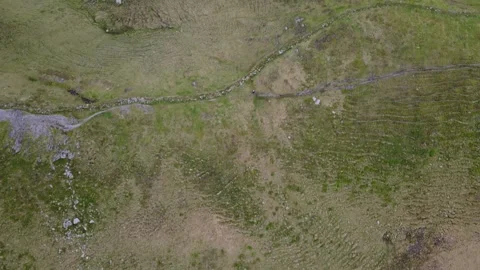 Stunning Drone Perspective Over Verdant Mountain Pastures in the Austrian A.. Stock Footage 333627862