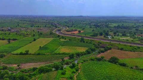 A stunning drone shot captures the vast, lush green farmland stretching end.. Video stock 285541919